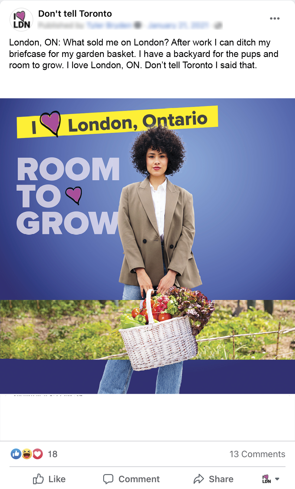 An image of a Facebook ad for Don't Tell Toronto. An a woman in sales, dressed for work on the top and bottom, but her image is interrupted by a garden scene and rather than carrying a briefcase as you might expect, she is carrying a basket full of vegetables, a banner that reads I Love London Ontario, and a headline that reads: Room to Grow. The copy for the facebook post reads:London, ON: What sold me on London? After work I can ditch my briefcase for my garden basket. I have a backyard for the pups and room to grow. I love London, ON. Don’t tell Toronto I said that.